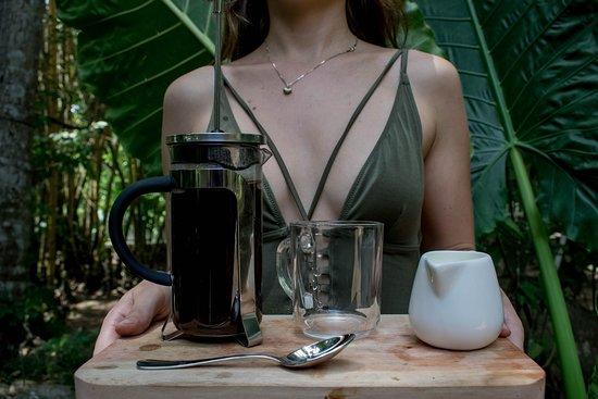 House Under Palmtrees